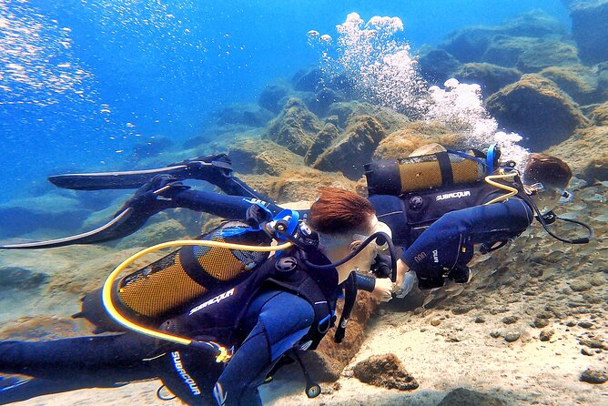 Tenerife Under The Sea - dive into 1-1 personalised experience - Why the One-to-One Format Is Worth Paying For