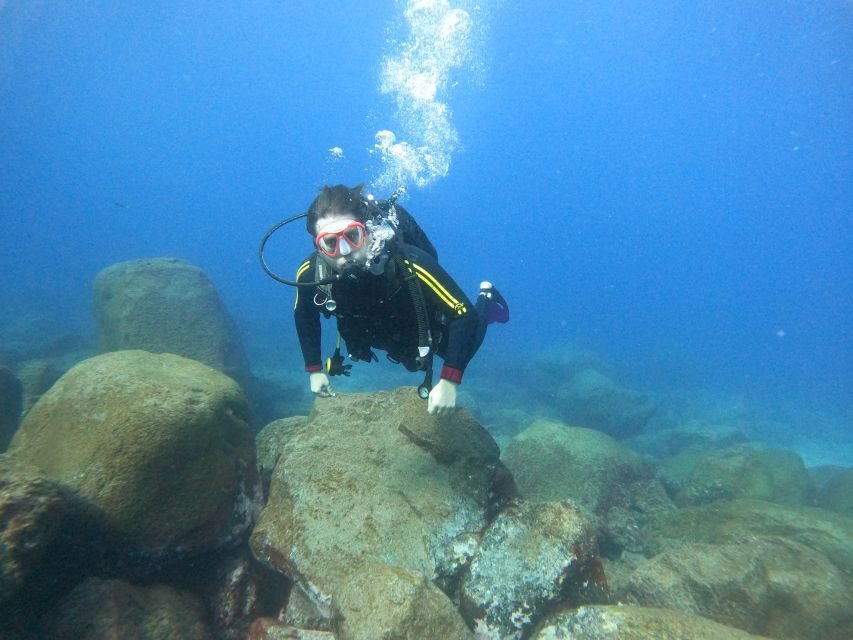 Tenerife: Your First Scuba Diving Experience in Turtle Area - Starting at Puerto Colón with the right expectations