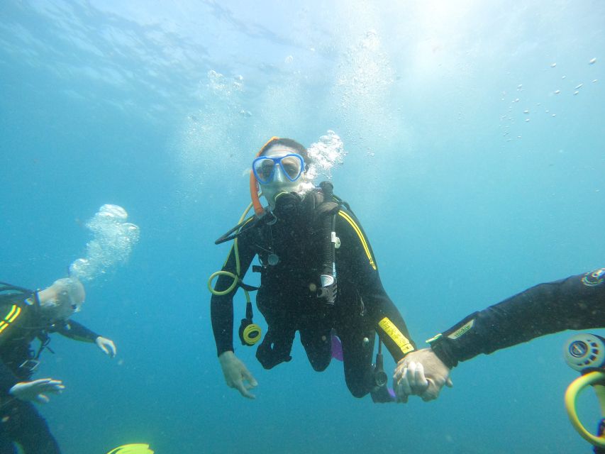 Tenerife: Your First Scuba Diving Experience in Turtle Area - The staff are the strongest part of the experience
