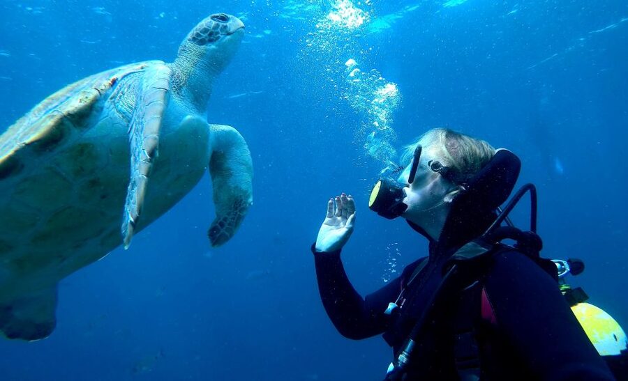 Tenerife: Your First Scuba Diving Experience in Turtle Area - Who should book, and who should skip it