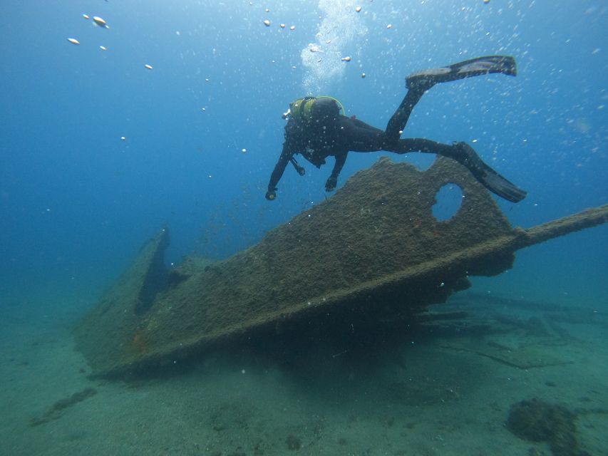 Terceira Island:Try Scuba in a Shipwreck-Archeological park - Fish, Octopuses, Rays, and Sea Urchins