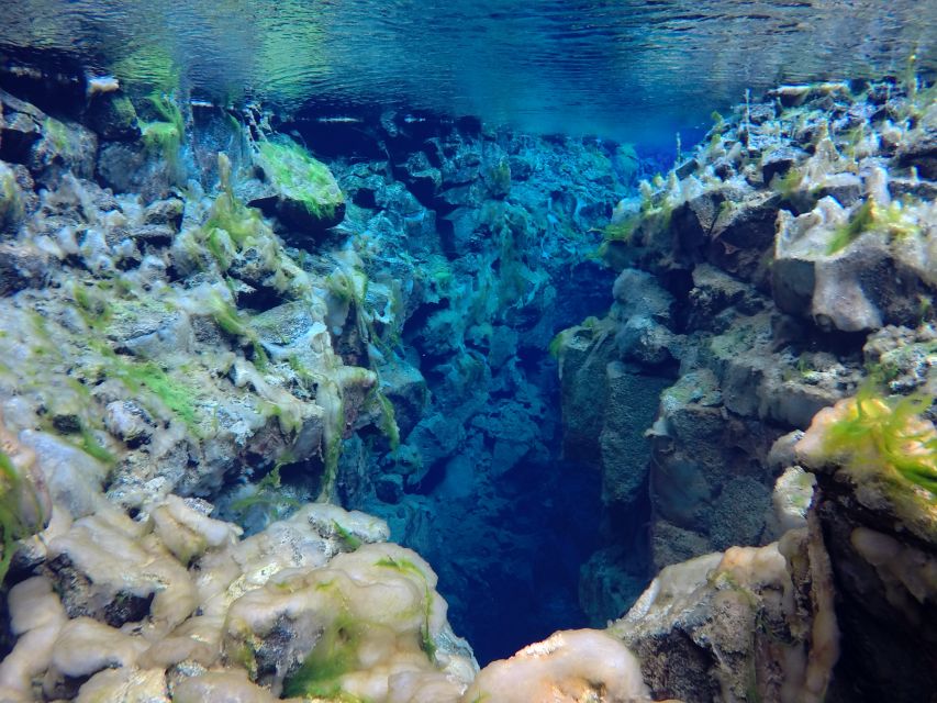 Thingvellir: Silfra Freedive Adevnture with a Guide - Entering Silfra Through the Staircase