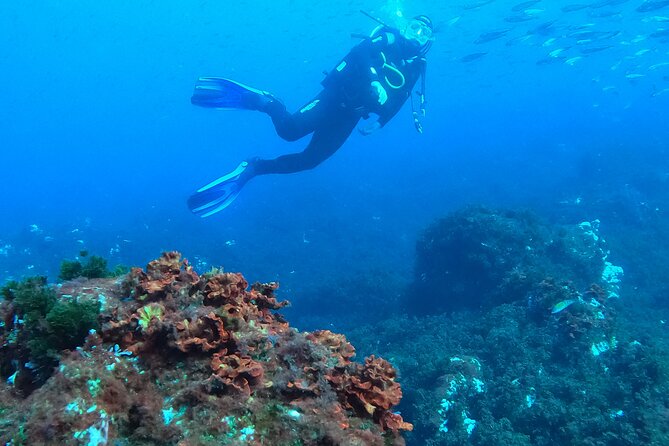 Third Island:Try Scuba in a Shipwreck-Archeological park - When Weather Changes the Plan