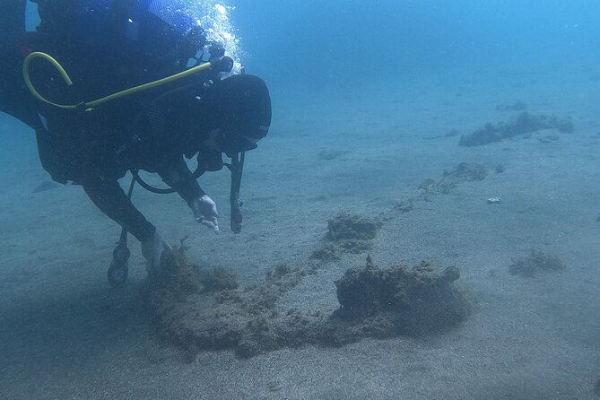 Third Island:Try Scuba in a Shipwreck-Archeological park - Marine Life Around Nine Meters