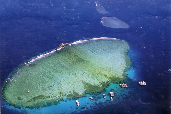 Tiran Island Full Day Snorkeling Sea Trip & intro dive 15 min - Sharm El Sheikh - Two snorkeling stops near protected reefs