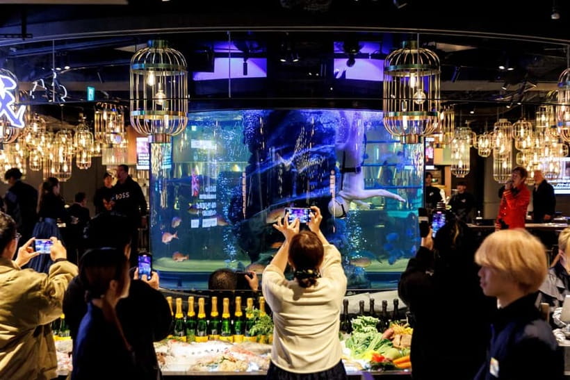 Tokyo: Japanese Experiece Dinner with Diving Ama Performance - The aquarium makes the meal feel like a show