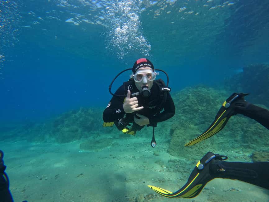 Tossa de Mar: PADI Discovery Scuba Diving in Costa Brava - What you see beneath the surface