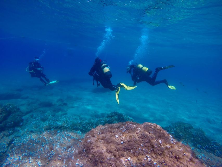 Tossa de Mar: Scuba Diving Experience for Beginners - Quick points to know