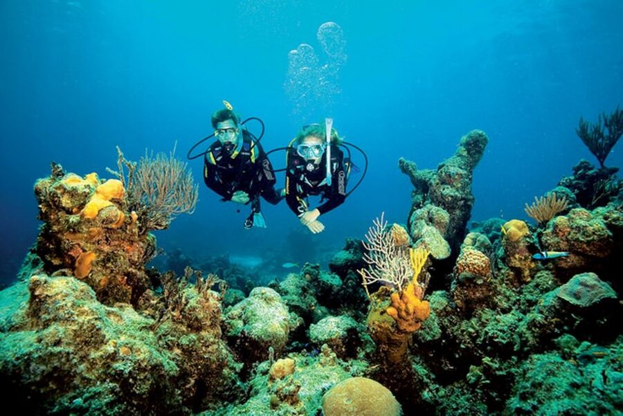 Tossa de Mar: Scuba Diving Experience for Beginners - Starting at Tossasub Diving Center