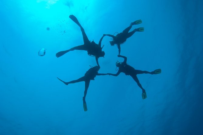 Tossa de Mar Scuba Diving PADI - How the instructors shape the day