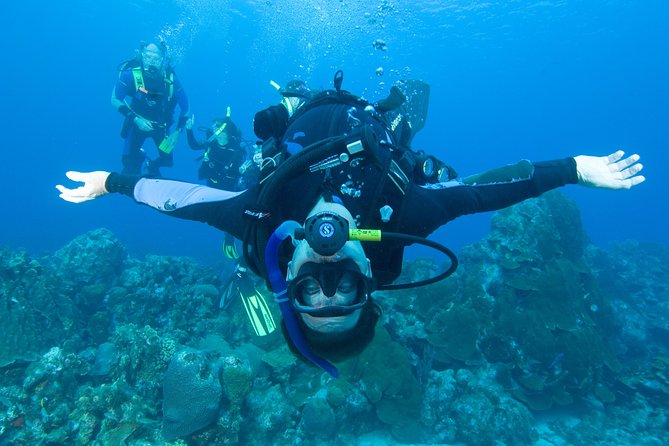 Tossa de Mar Scuba Diving PADI - Photos, videos, and the value of the $78.64 price