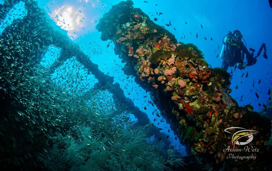 Townsville or Magnetic Island: Yongala Wreck Dive Day Trip - Key points to know before booking