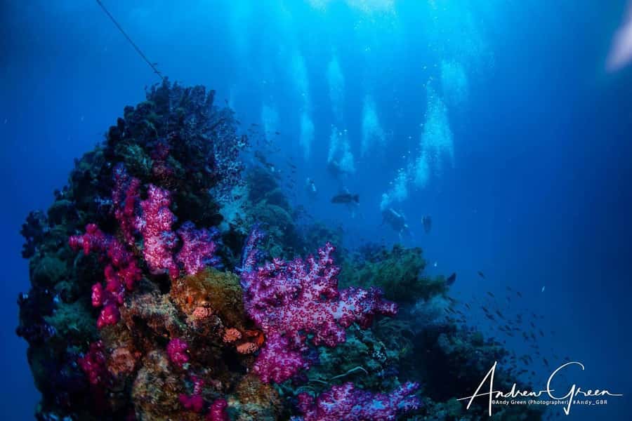 Townsville or Magnetic Island: Yongala Wreck Dive Day Trip - The three-hour journey to the wreck