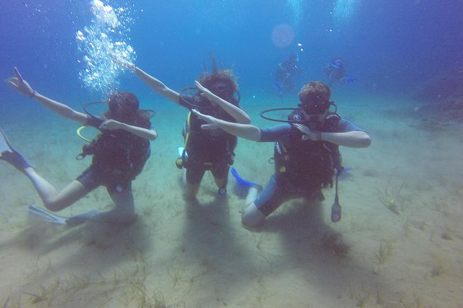Try a DIVE, discover scuba diving in Mykonos - What the $193.57 price really buys