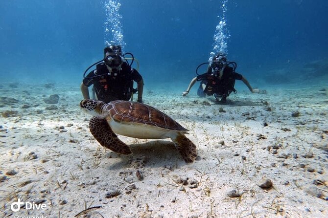 Try a Scuba Diving Experience - The first underwater outing