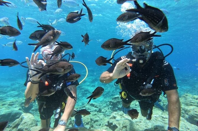 Try a Scuba Diving Experience - Photos and videos included in the price