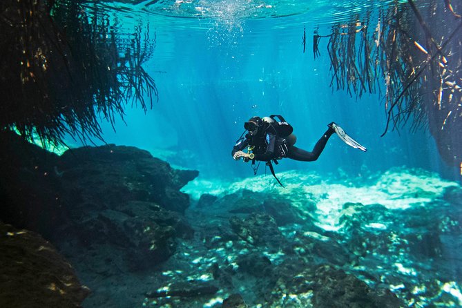 Try dive in beautiful Casa cenote for 2 people - The Casa Cenote experience at a glance