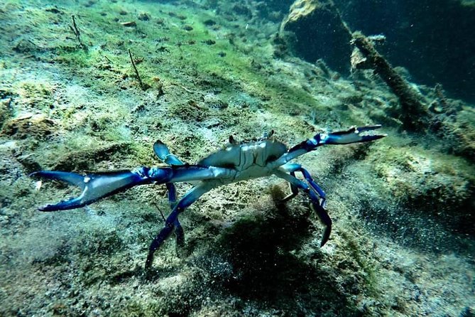 Try dive in beautiful Casa cenote for 2 people - Arriving from Playa del Carmen to Casa Cenote