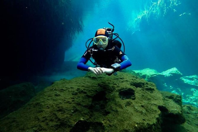 Try dive in beautiful Casa cenote for 2 people - What you see below the surface