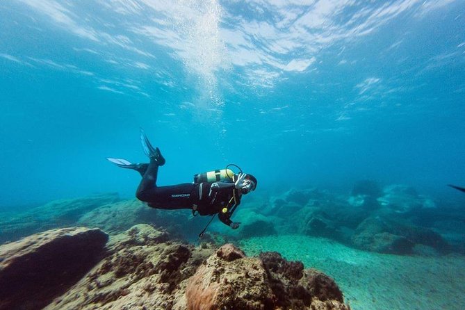 Try Dive in Tenerife - Cleaning the Seabed at Puertito de Adeje