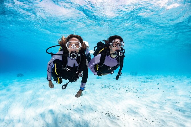 Try Dive - PADI Discover Scuba Diving in Tenerife - Why Radazul is a good place to try scuba