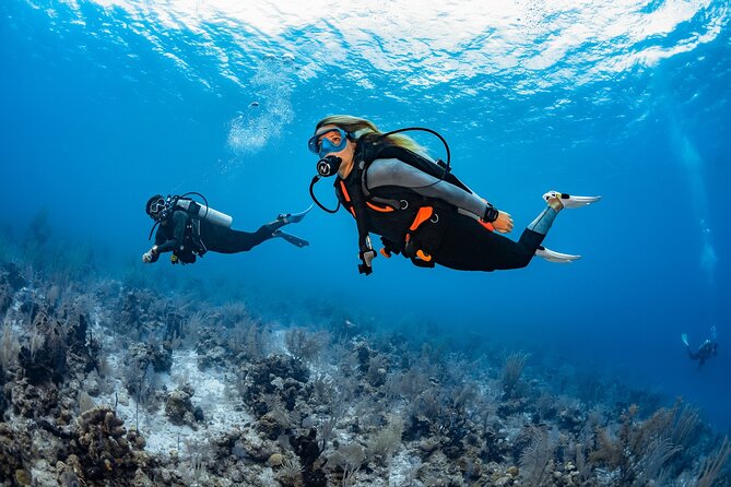 Try Dive - PADI Discover Scuba Diving in Tenerife - Personal instruction matters more than fancy scenery