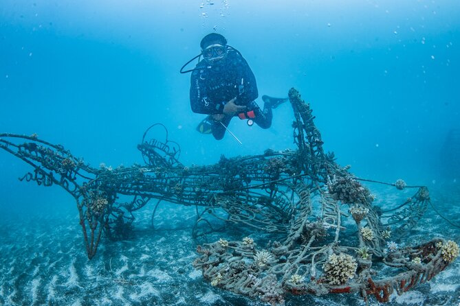Try Dive Program in the Biorock Pemuteran - Key details at a glance