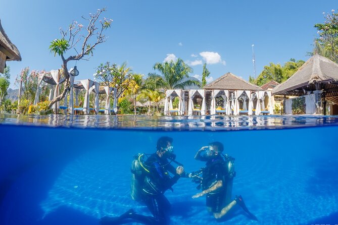 Try Dive Program in the Biorock Pemuteran - Starting at Karang Divers in Pemuteran