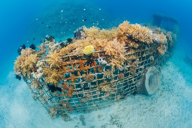 Try Dive Program in the Biorock Pemuteran - What the instructor support feels like