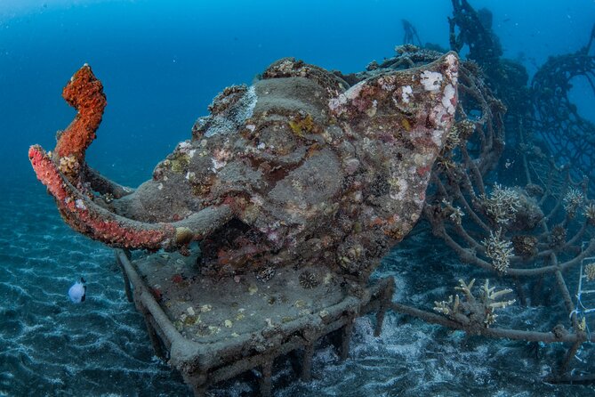 Try Dive Program in the Biorock Pemuteran - The sea session and Biorock experience
