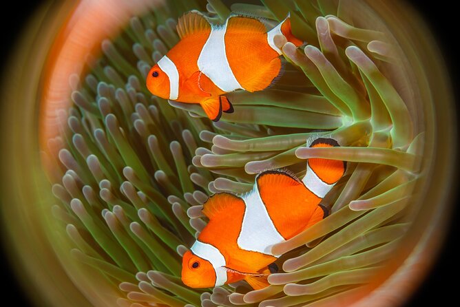 Try Dive Program in the Biorock Pemuteran - Reaching Biorock Pemuteran from the beach