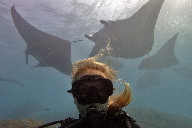 Try Dive with Manta Rays in Bali - An early start from Kuta to Sanur