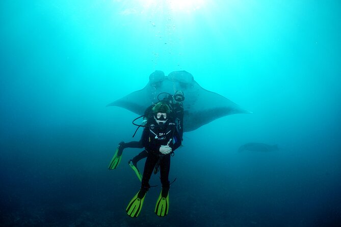 Try Dive with Manta Rays in Bali - Getting ready when you have no scuba certificate