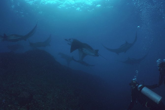Try Dive with Manta Rays in Bali - Crossing by speedboat toward Nusa Penida