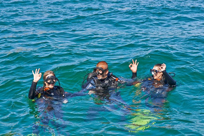 Try Dives - Discover Scuba Diving in Albufeira - Key things to know before booking
