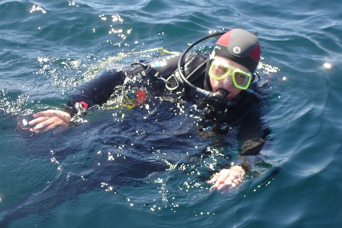 Try Dives - Discover Scuba Diving in Albufeira - Starting at Albufeira Marina at 1:45 pm