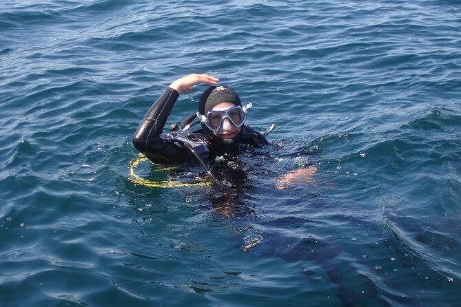 Try Dives - Discover Scuba Diving in Albufeira - Boat ride to the Algarve reef