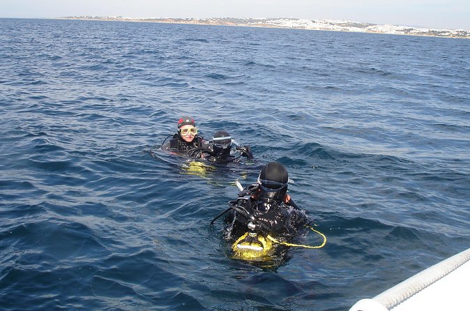Try Dives - Discover Scuba Diving in Albufeira - Marine life, photos, and what is not included