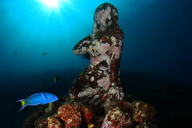 Try Diving at USAT Liberty Wreck Tulamben with 1 or 2 Dives (Stay In Tulamben) - Who will enjoy this most?