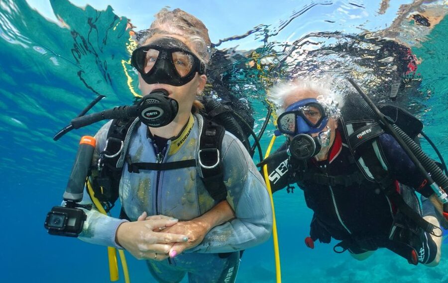 Try diving for the first time in turtle area - Plan around the 12-hour no-flying rule
