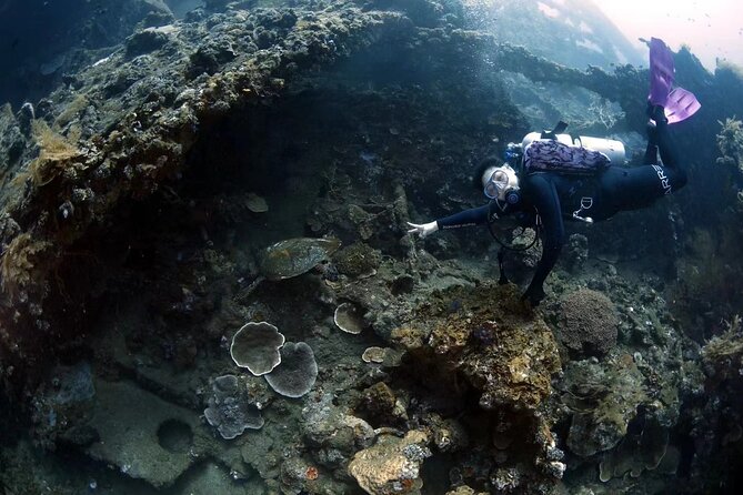 Try Diving in Tulamben - Shipwreck - Pool practice makes the first ocean session less daunting