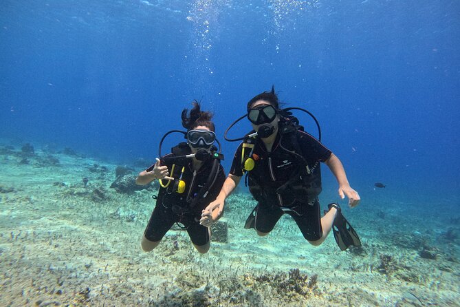 Try diving without previous experience from shore - What this Cozumel beginner session is really about