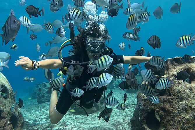 Try diving without previous experience from shore - What the water may feel like