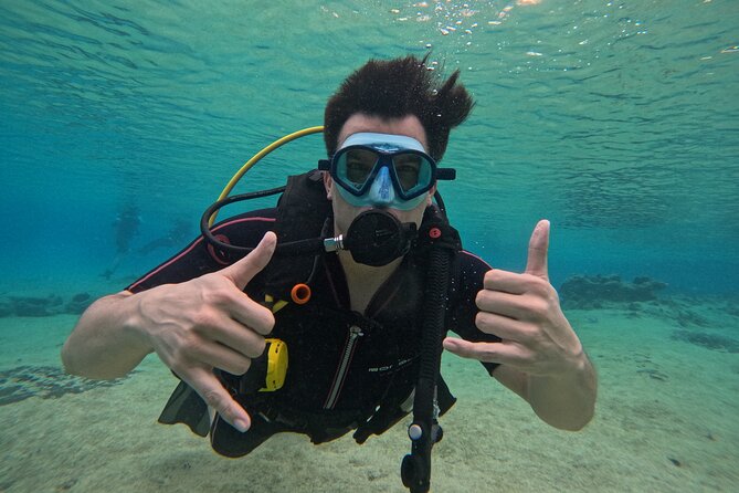 Try diving without previous experience from shore - The theory lesson comes first