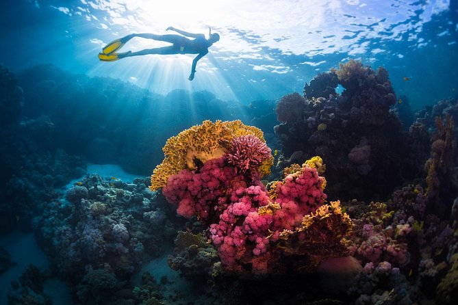 Try Freediving on Nusa Penida - What this Nusa Penida experience really offers