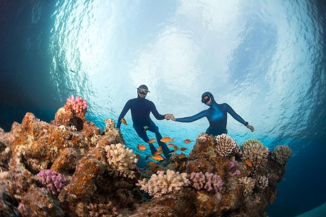 Try Freediving on Nusa Penida - The home reef session in front of Freedive Nusa
