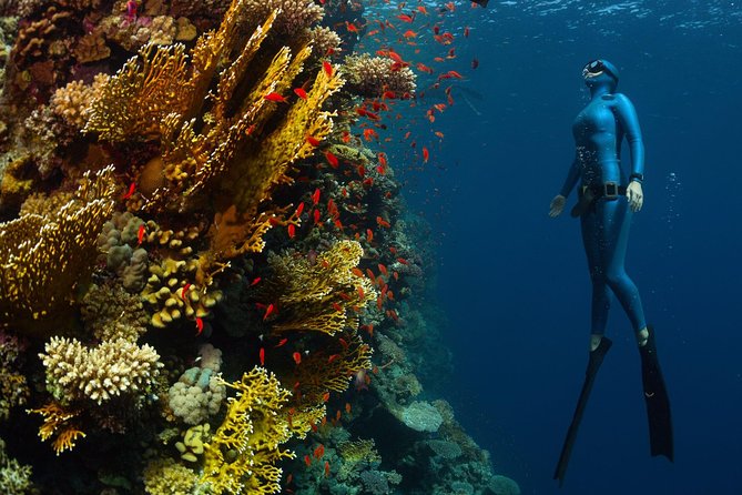 Try Freediving on Nusa Penida - Who may want a different activity