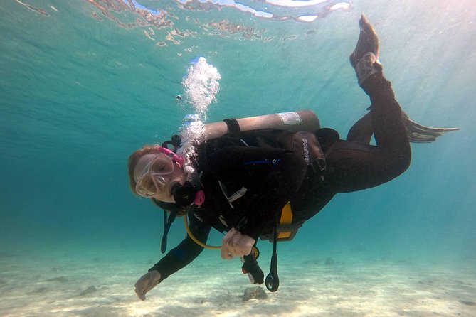 Try scuba dive - What the $97.74 price really covers