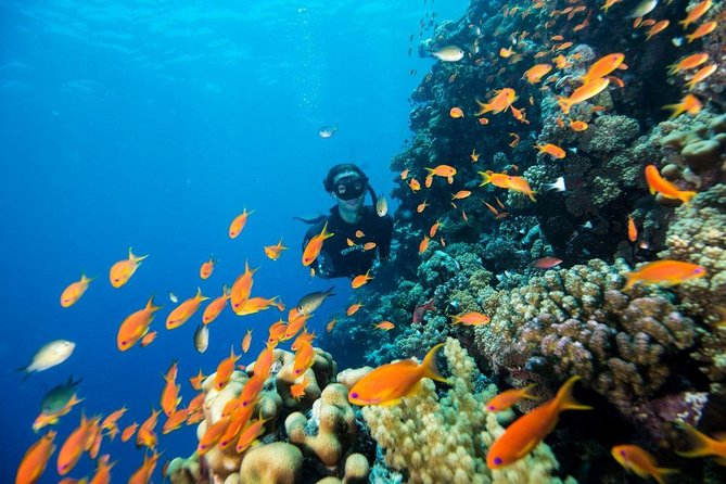Try Scuba Dive (baptism of the sea) - The center’s useful comforts after the sea
