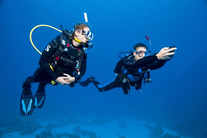 Try Scuba Dive (baptism of the sea) - Is $104.11 a fair price?